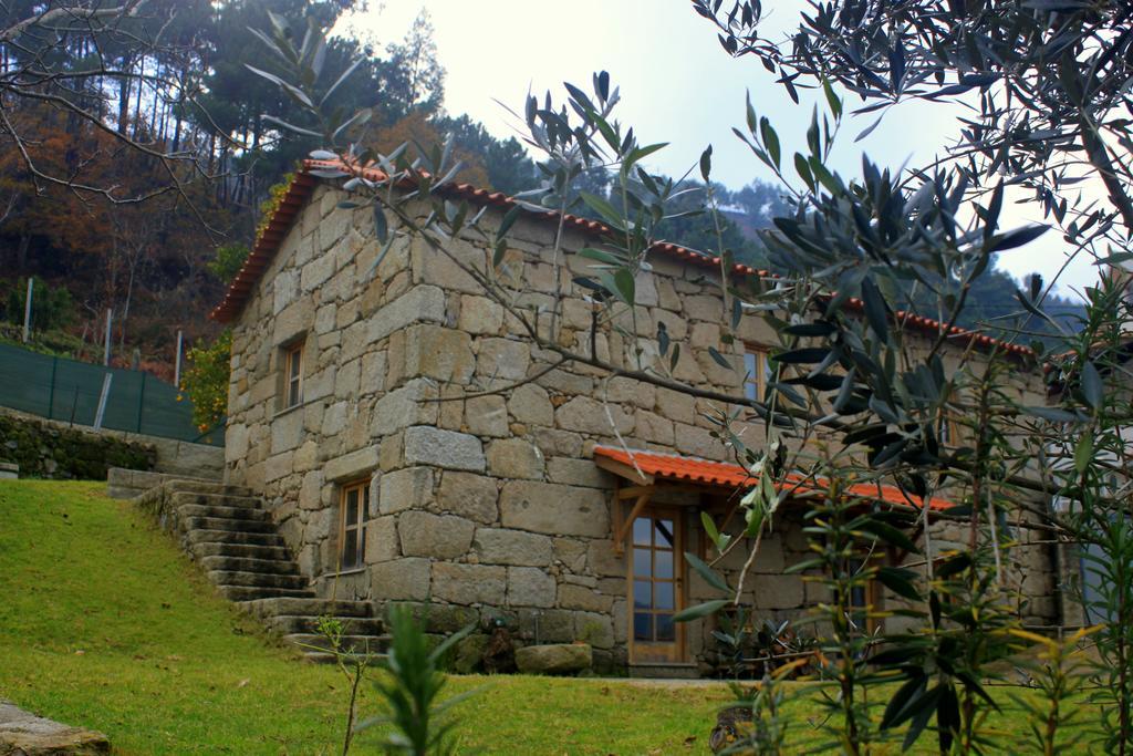 Douro Senses - Nature House 辛方伊什 客房 照片